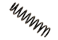 Chassis spring