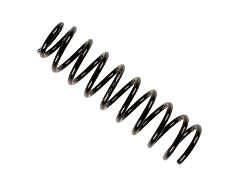 Chassis spring