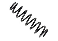 Chassis spring