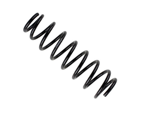 Chassis spring
