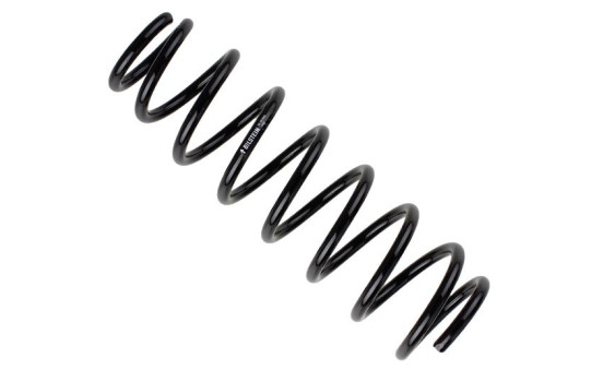 Chassis spring