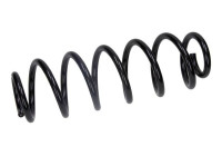 Chassis spring