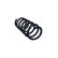 Chassis spring