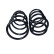 Chassis spring