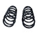 Chassis spring
