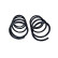 Chassis spring