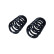 Chassis spring