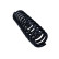 Chassis spring
