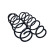 Chassis spring
