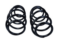 Chassis spring