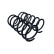 Chassis spring