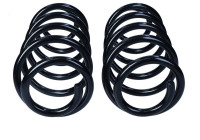 Chassis spring