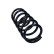 Chassis spring