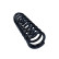 Chassis spring