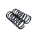 Chassis spring