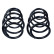 Chassis spring