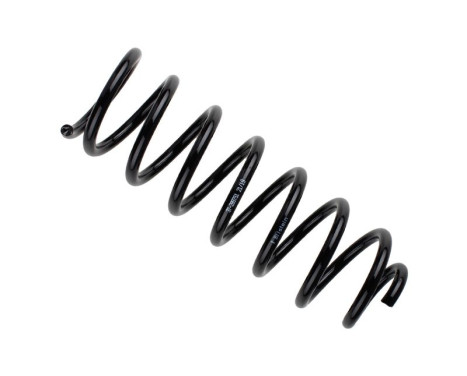 Chassis spring