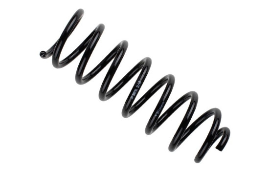Chassis spring