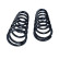 Chassis spring
