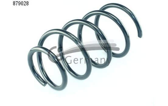 Chassis spring