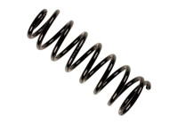 Chassis spring