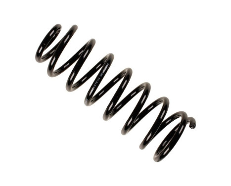 Chassis spring