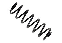 Chassis spring