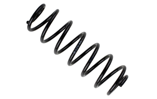 Chassis spring