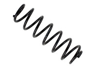 Chassis spring