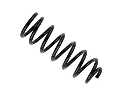Chassis spring