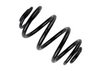 Chassis spring