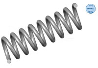 chassis spring