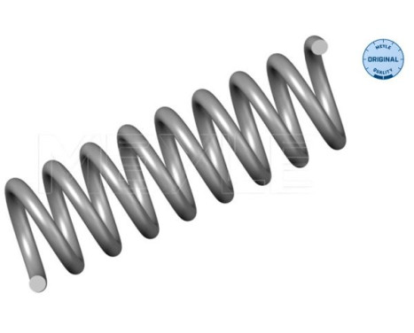 chassis spring