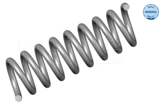 chassis spring