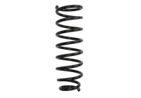 Chassis spring