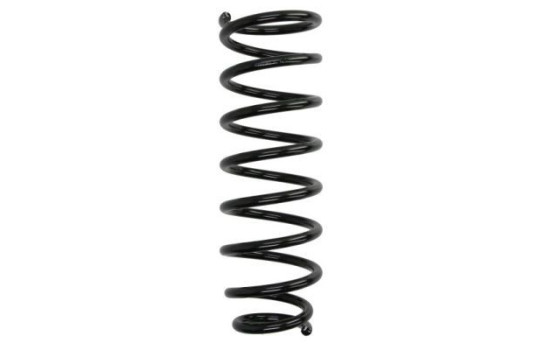 Chassis spring
