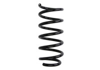 Chassis spring