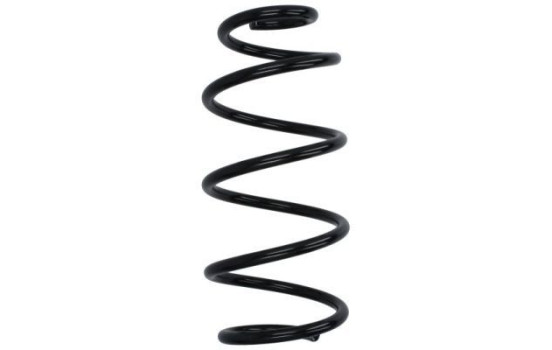Chassis spring