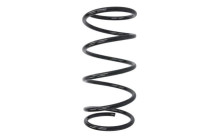 Chassis spring