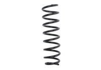 Chassis spring