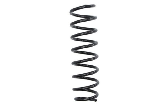 Chassis spring