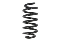 Chassis spring