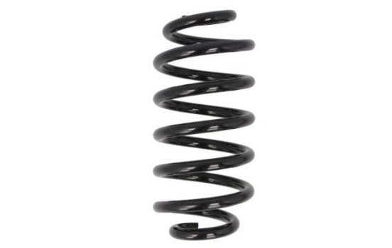 Chassis spring