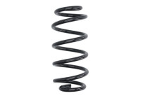 Chassis spring