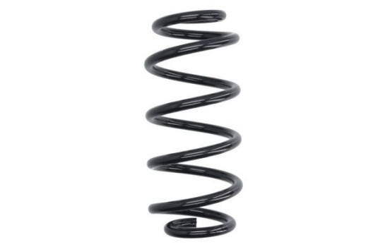 Chassis spring