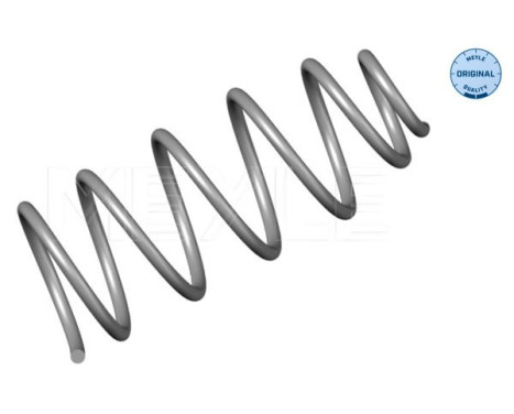 Chassis spring