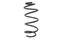 Chassis spring