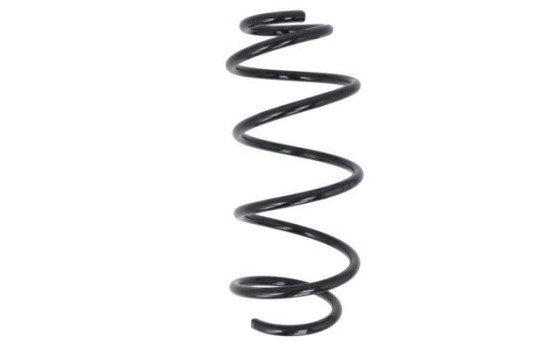 Chassis spring