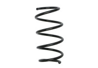 Chassis spring