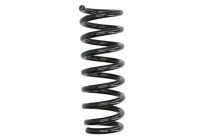 Chassis spring